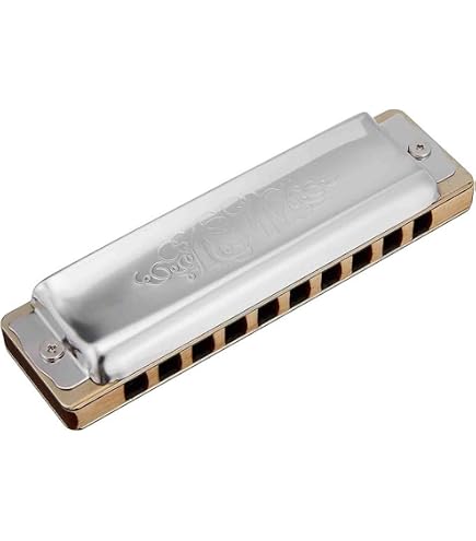 Seydel サイドル ハーモニカ ブルース 10穴 1847 NOBLE C 1847 ノーブル C wgteh8f Amazon.co.jp: Seydel サイドル ハーモニカ ブルース 10穴 1847 NOBLE