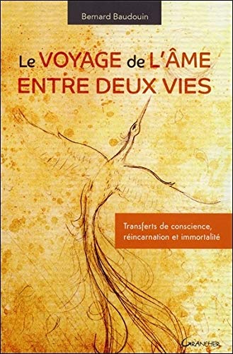 Le voyage de l'âme entre deux vies - Transferts de conscience, réincarnation et immortalité (French Edition) by Bernard Baudouin