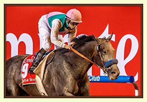 Arrogate Wins 2017 Dubai World Cup One of the Greatest Come from Behind Win 11x14 double matted 8x12 photo print