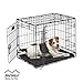 Dog Crate | MidWest ICrate 24" Double Door Folding Metal Dog Crate w/ Divider Panel, Floor Protecting Feet & Leak-Proof Dog Tray | 24L x 18W x 19H Inches, Small Dog, Black primary
