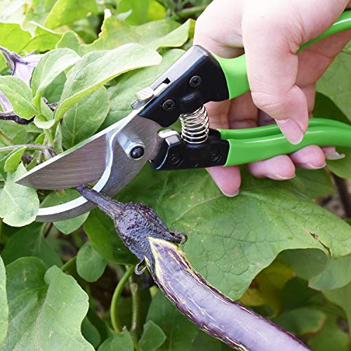 IRRIGLAD V8 Professional Pruning Shears, Gardening Scissors, Hand Pruners, Garden Clippers, Stainless Steel Blades, 8" Heavy Duty Tree Trimmers, Safety Lock - Thumbnail 5