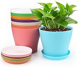 KINGLAKE 8Pcs 10cm Plastic Colorful Plant Pots with Trays Indoor Garden Set