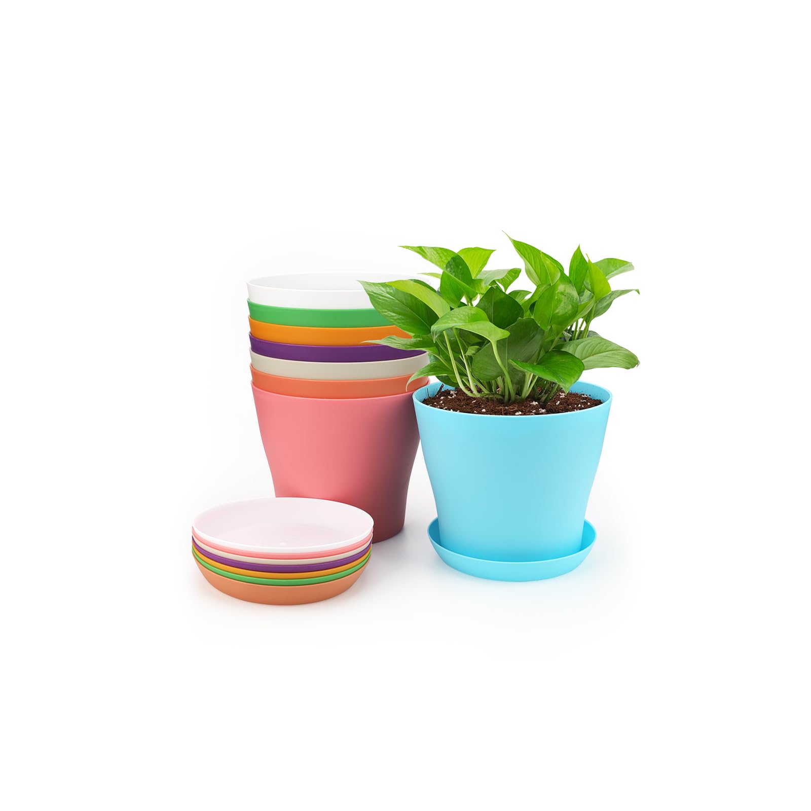 KINGLAKE 8Pcs 10cm Small Plant Pots Plastic Colorful Flower Pots Indoor Plant Pots for Office House Desk with Pallet/Trays, 8 Colors