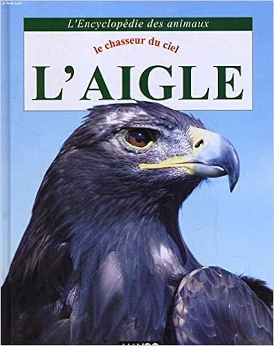 couverture de : L'aigle