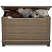 Delta Children Monterey Farmhouse Hope Chest Toy Box, Rustic Caramel