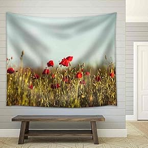 Poppies Field Over Blue Sky with Clouds - Fabric Wall Tapestry Home Decor - 51x60 inches