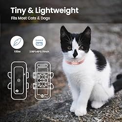 SEEWORLD P1 GPS Cat Dog Tracker - for Anti Lost No