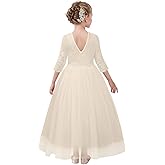 LQSZ Girls Dress V-Back Tutu Mesh Lace Flower Princess Formal Dresses for Wedding Birthday Party Dance