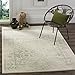SAFAVIEH Adirondack Collection Area Rug - 5'1
