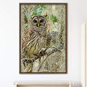 signwin Framed Canvas Wall Art Owl Birds Dramatic...