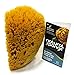 The Natural Sea Sponge, 6 to 7-Inch, Yellow