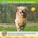 Fairfield Naturals Omega 3 Pet Fish Oil for Dogs & Cats (16 oz) - Organic Wild Alaskan Salmon Fish Oil