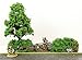 War World Gaming Battle Bocage Kit 3-28mm Heroic Scale Wargaming Terrain Model Diorama Scenery Wargame WW2 Tabletop Battle Normandy France WWII Hedgerow