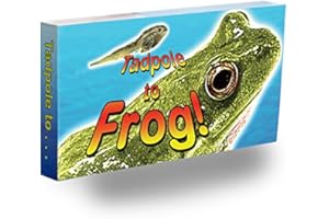 Fliptomania Tadpole to Frog Animation Flipbook