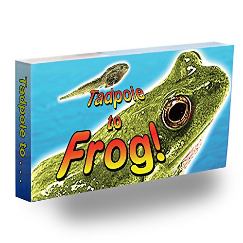 Fliptomania Frog Flipbook