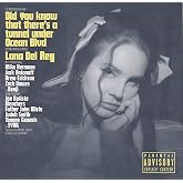 Did You Know That There's A Tunnel Under Ocean Blvd [CD]