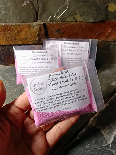 Bromeliad Tillandsia Fertilizer || AirPlant Food || 17-8-22 (12- Month Supply || ~0.8 oz)