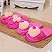 Bluelans Funny Slippers, Men Women Breast Penis Pattern Cozy Fluffy Soft Anti-Skid Indoor Slippers Adult Novelty Gifts Penis One Size