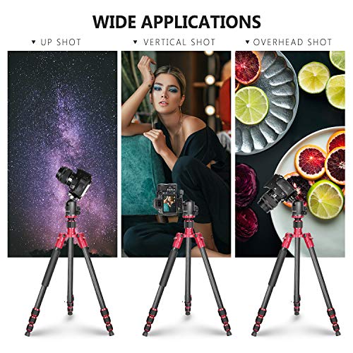 Neewer 66 inches/168 centimeters Carbon Fiber Camera Tripod Monopod