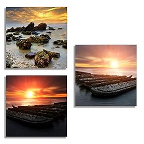 for Living Room Bedroom Home Artwork The Beautiful...