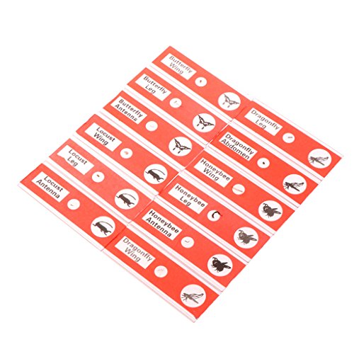Hukai 48 Pcs Prepared Microscope Slides Specimen Animals Insects Plants Flowers Sample - Thumbnail 5