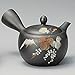 Yamakiikai Tokoname Black Kyusu(Japanese teapot) Japanese Leafs pattern with a strainer 290cc M542 from Japan