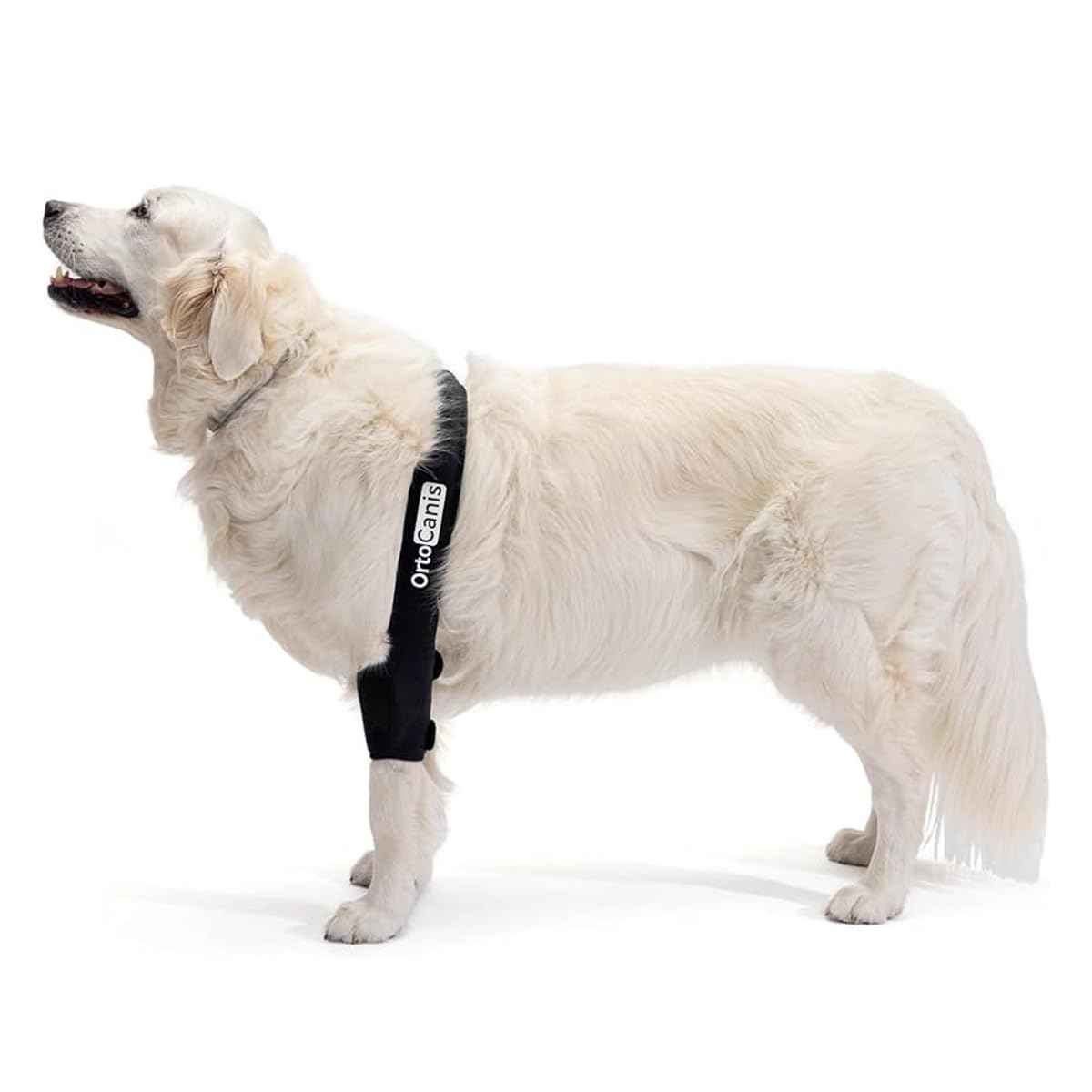 Ortocanis - Dog Elbow Protector for Pets - Right Leg Elbow Brace - Elbow Osteoarthritis, Dysplasia, and Skin Lesions - Reduces Pain and Inflammation - Size: L 20.6-25 cm