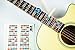 QMG Color Coded Guitar Fretboard Stickers, Learn to Play Guitar and Music Theory, Suitable for all Levels, Two sticker sets,: Made in USA
