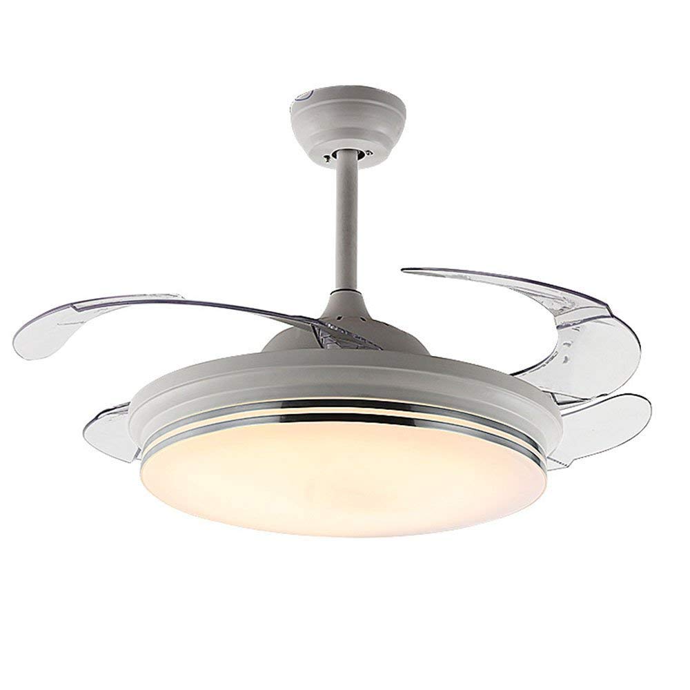 Tiptonlight Ceiling Fans With The Special Design Of The 4 Acrylic