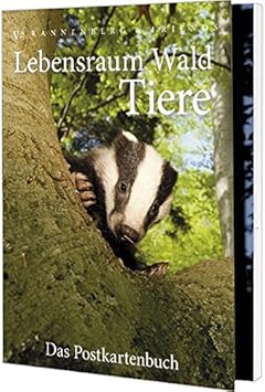 Postkartenbuch Lebensraum Wald Tiere Amazon De Burobedarf Schreibwaren