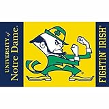 BSI Notre Dame Fighting Irish Premium 3x5 Flag