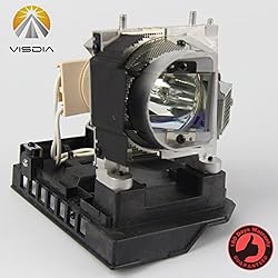 20-01501-20 Replacement Projector lamp with Housing