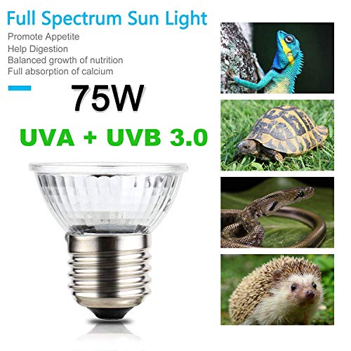 OMAYKEY 75W 6 Pack UVA + UVB Full Spectrum Sun Lamp Sunbathe Heat Lamp/Bulb/Light for Lizard Reptiles and Amphibians - Thumbnail 3