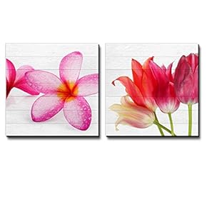 Pink Hawaiian Plumeria Flowers on Along with Pink and Coral Tulips Over White Wood Panels - Canvas Art Home Art - 12x12 inches