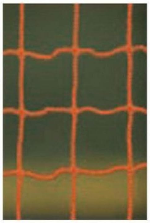 Brine Practice Lacrosse Net 2.5-mm Hi-Extension Polyester Knotless 1.5-Inch Mesh-6 x 6 x 7-Feet (Orange) : Hockey Nets : Sports & Outdoors