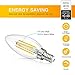 SHINE HAI Candelabra LED Filament Bulbs 40W Equivalent, 3000K Chandelier B11 LED Bulb E12 Base Decorative Candle Light Bulb, Pack of 12
