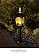 Disney Garden Light lantern Winnie the Pooh LED Solar Energy Charger Auto Lamp