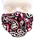 Breathe Healthy Dust, Allergy & Flu Mask - Comfortable, Washable Protection from Dust, Pollen, Allergens, Cold & Flu Germs with Antimicrobial; Asthma Mask; Skull Pattern Mask (Adult, Paisley Skulls)