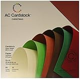 American Crafts 12-Inch by 12-Inch Cardstock Variety Pack, Christmas