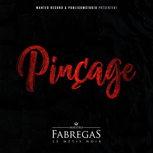 fabregas pinçage mp3