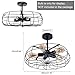 Birsppy Sudopo Green Hills OYI Semi Flush Mount Ceiling Lights, Industrial Laundry Room Light Fixtures, 5 Lights Metal Cage Chandelier, Vintage Farmhouse Pendant Hanging Lighting Black…