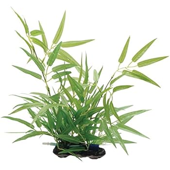 Amazon.com : Fluval Acorus Plant for Aquarium, 14.5-Inch : Aquarium Decor Plastic Plants : Pet 