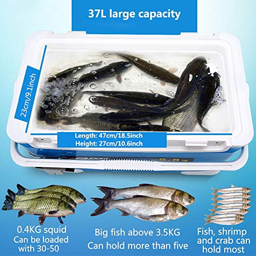 TSSM Einstellbare Angelbox 37L Hochleistungs-Edelstahl-Sitzmultifunktion mit hoher Härte der Rückenlehne – Bild 5