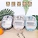 Lunch Bento Box Insulated Stainless Steel Square Food Storage Container Leakproof with Sealed Compartment for Woman Man Work (Black 2 Sealed Compartment)
