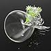 Brccee AC Angel Hanging Glass Angel Flower Vase Plant Flower Vase Hydroponic Office (S)