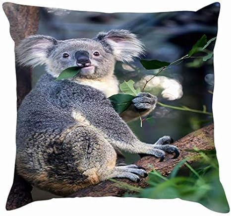 Amazon コアラを食べるユーカリの葉リビー タイタス動物野生動物自然枕カバー枕カバースクエアクッションカバー45x45 Cm 枕カバー ピローケース オンライン通販