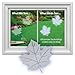 WindowAlert Maple Leaf Anti-Collision Decal - UV-Reflective Window Decal to Protect Wild Birds from Glass Collisions 2-Pack - Made in The USA