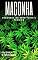 Livro Maconha: Descubra os benefícios e perigos