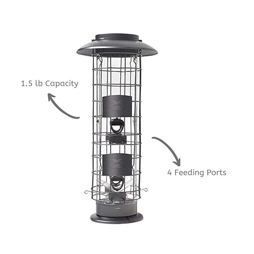 Reviewfinch Should I Buy Squirrel X4 Squirrel Proof Bird Feeder