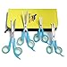 Ziweto Pets Premium Quality Grooming Scissors Set of 4 Pieces for Dogs and Cats with Rounded Tips (for Body, Face, Ear, Nose, Paw)